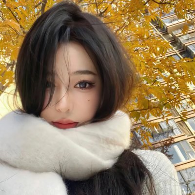 鲨与鲸